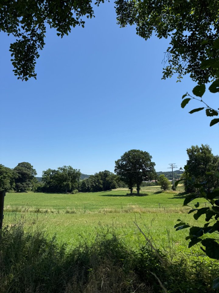 Hengstaufzucht  Bogenroith2 - Hengst - Brennberg
