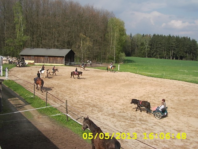 Urlaub auf der Reit- und Freizeitanlage Wiesau - Reitferien - Wiesau