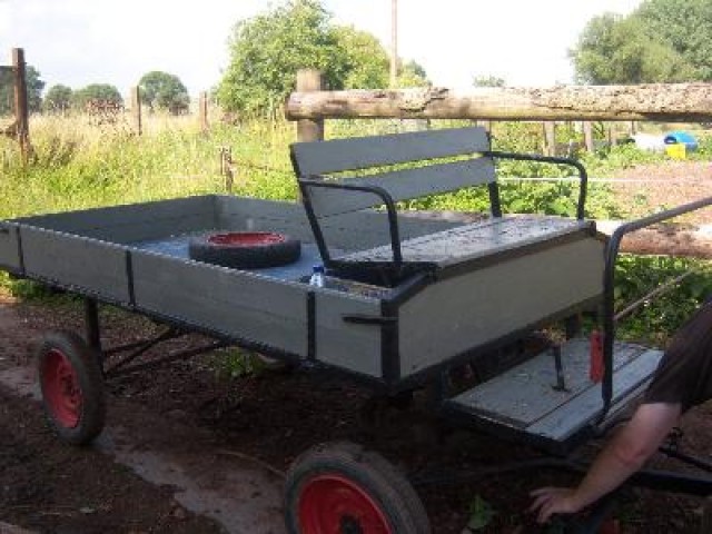 Ponywagen abzugeben - Pferde Kutsche - Weinbergen