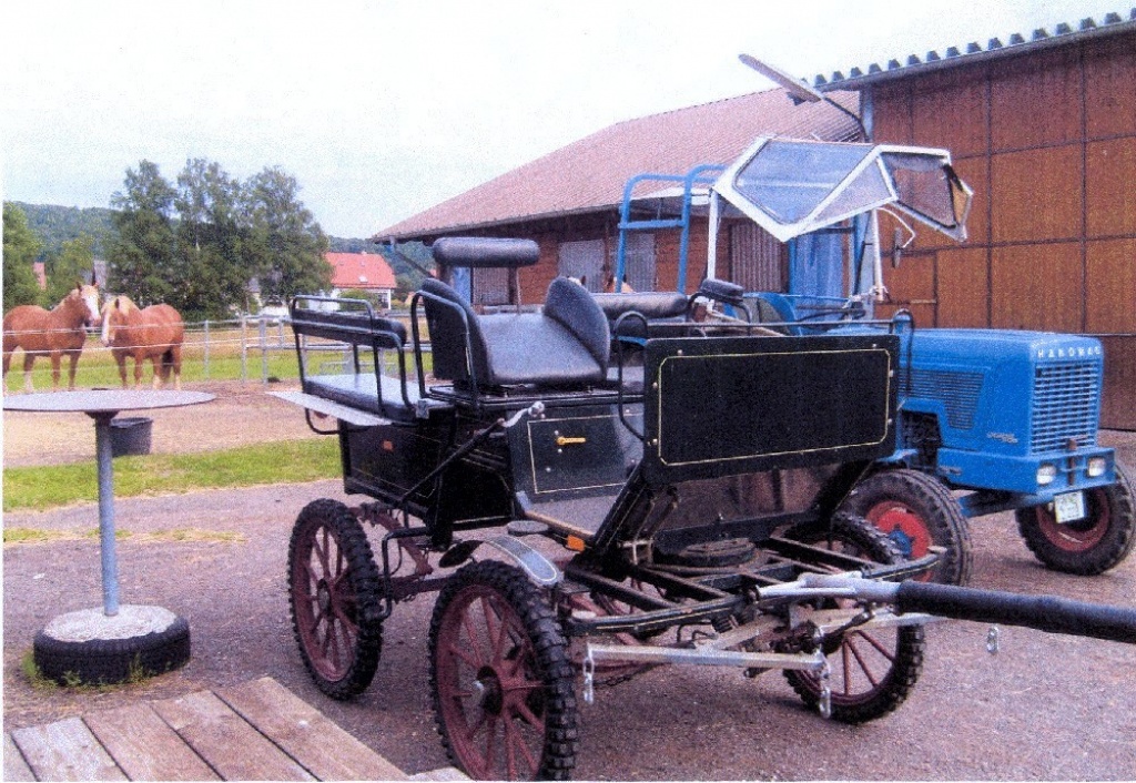Freizeit-Wagonette, Kutsche - Kutsche - Nohfelden
