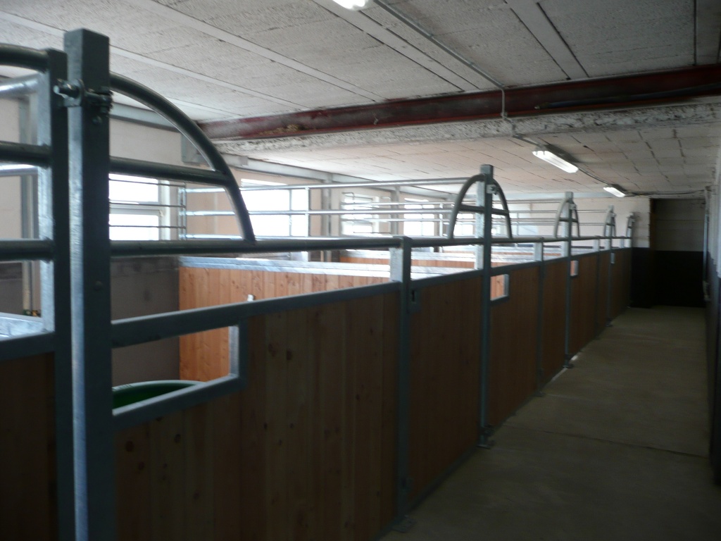 Stallplätze mit direktem Geländezugang - Stallplatz - Asbach