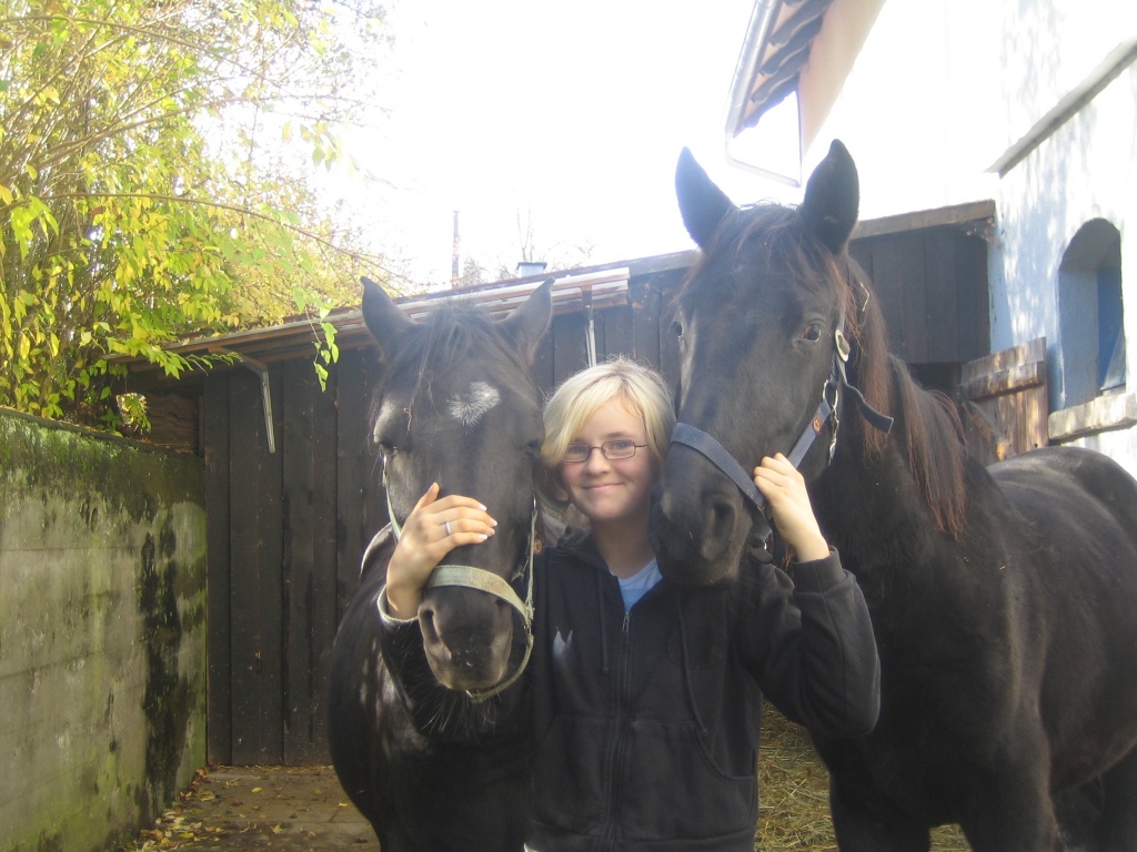 Suche billige reitbeteiligung - Reitbeteiligung - Horb am Neckar