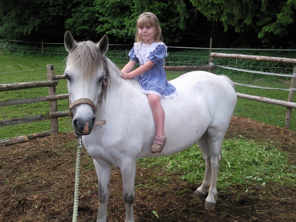 Welsh A Schimmelstute - Ponys - Owingen