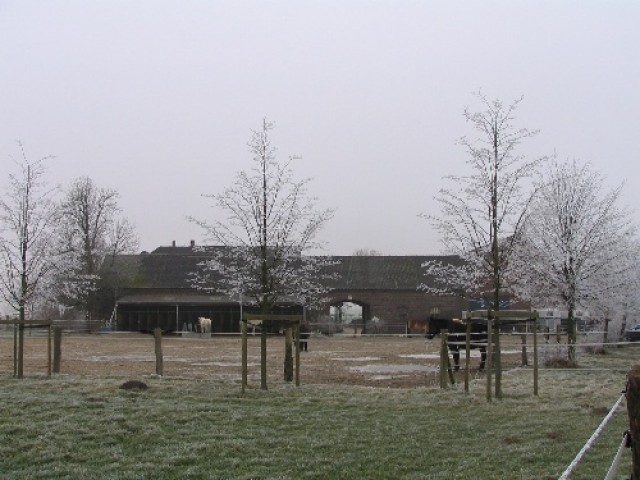Pferdebox / Offenstall - Stallplatz - kempen