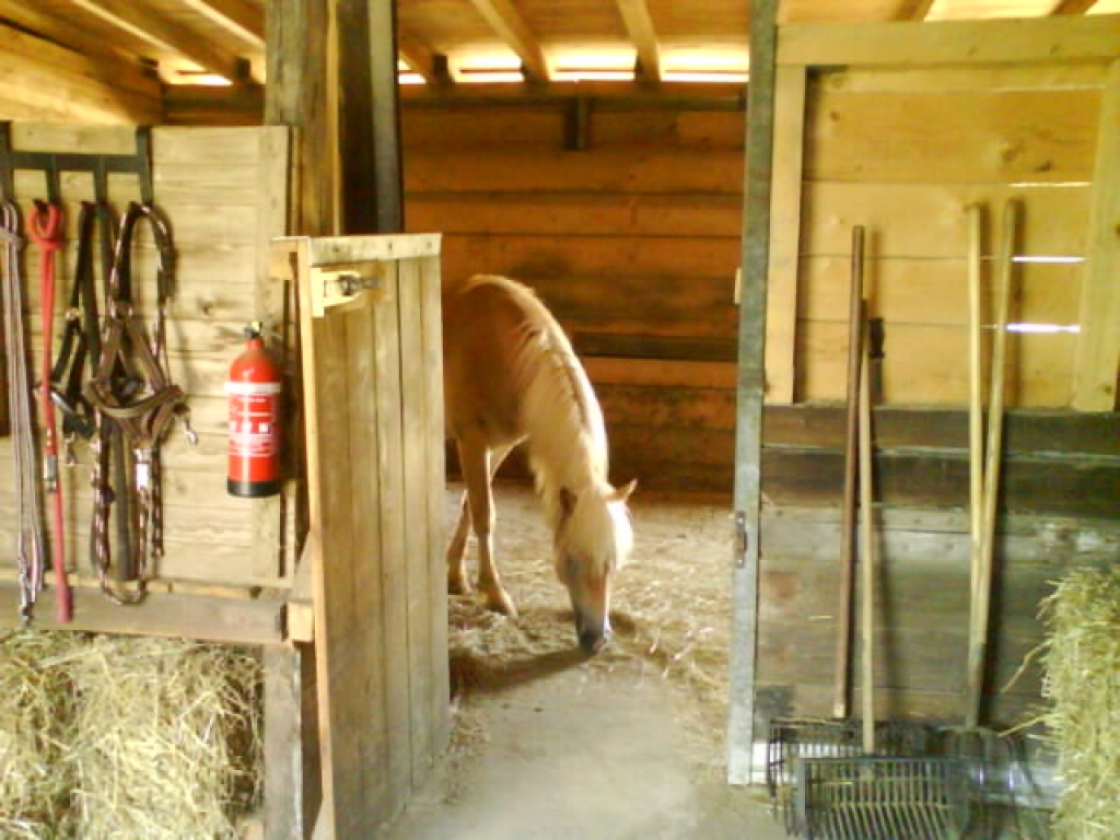 Offenstall in 63456 Hanau hat Platz für 3-4 Pferde - Stallplatz - Hanau