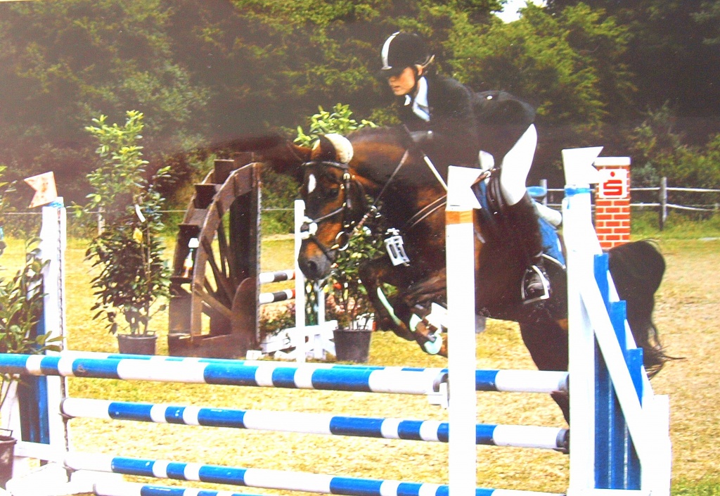 Suche Reitbeteiligung an meiner Welshponystute - Reitbeteiligung - Düsseldorf