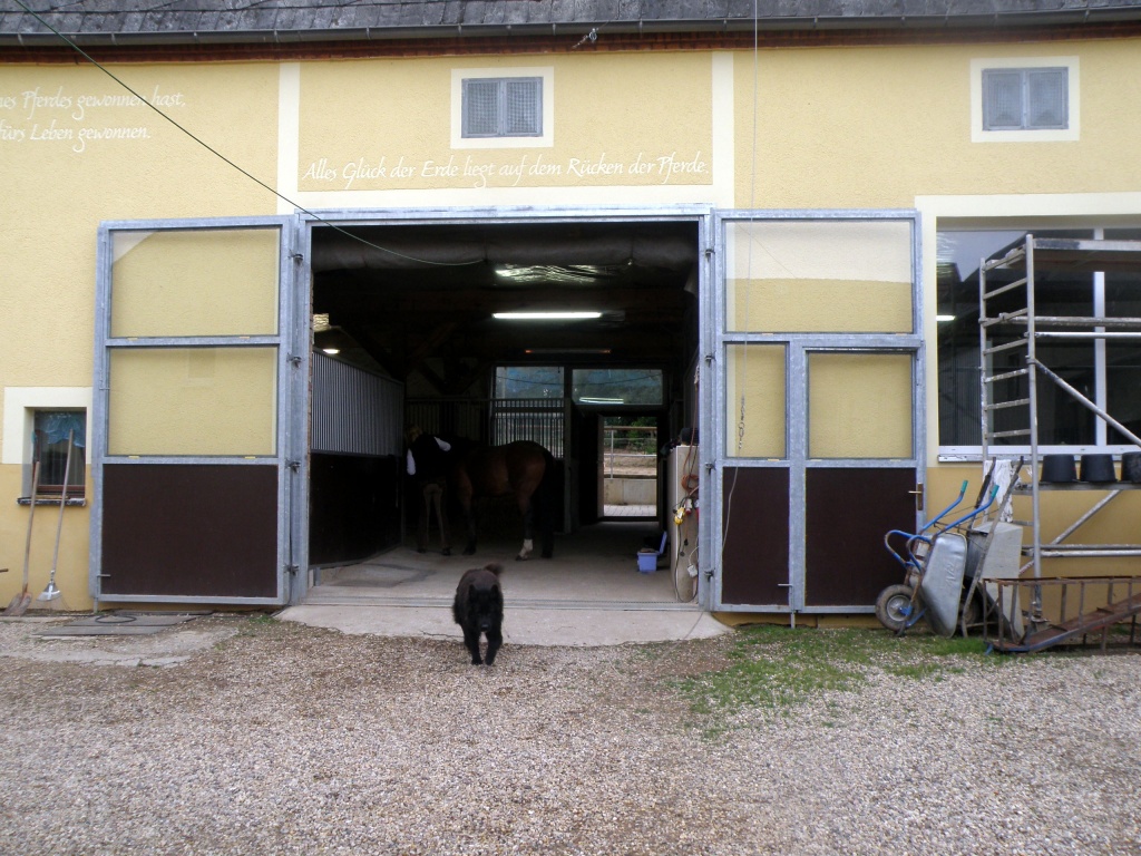 Helle große Boxen zu vermieten in 04720 Ebersbach - Stallplatz - Ebersbach