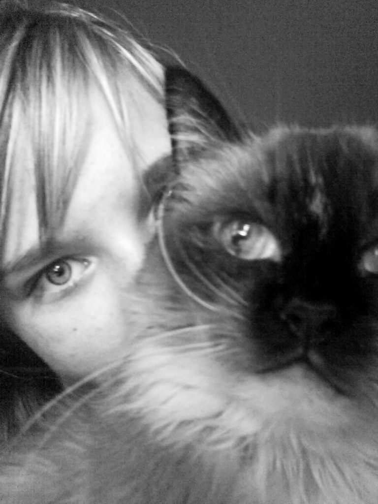 Suche Reitunterricht.... :) - Reitbeteiligung - Mülheim an der Ruhr