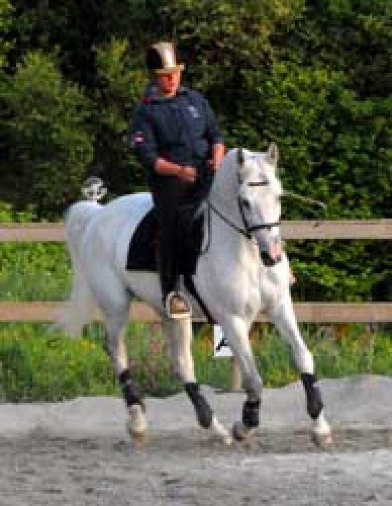Original Klassische Reit- und Fahrkunst/ Reiten ohne Kraft - Stallplatz - Horst Holstein