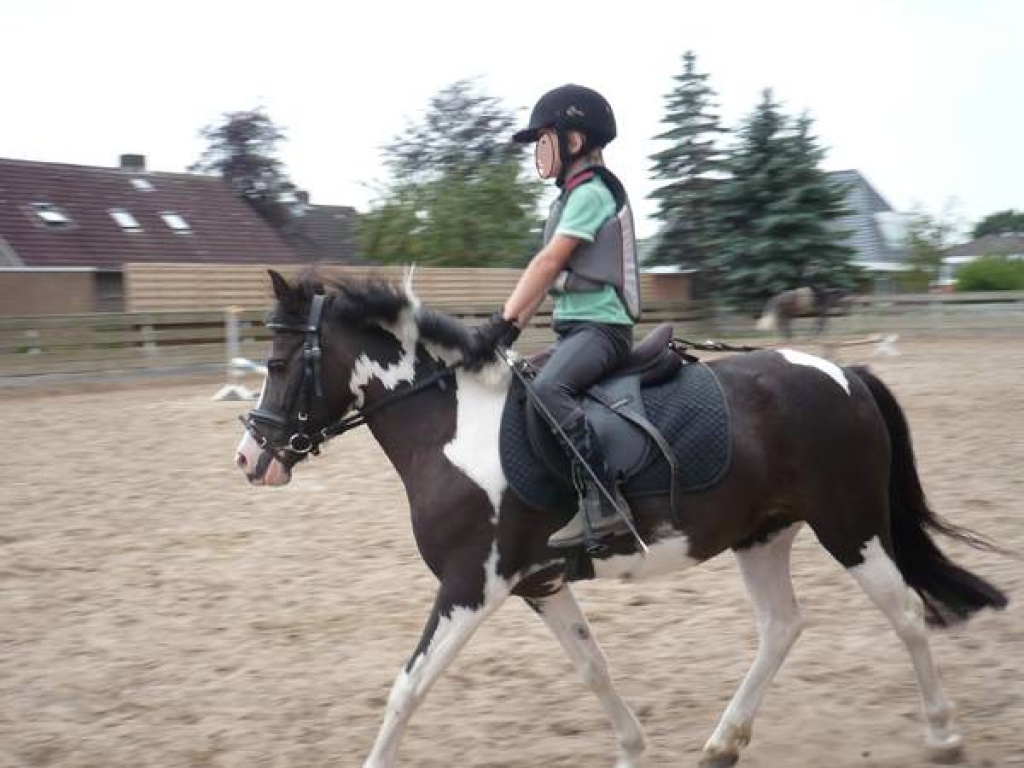 Biete Reitbeteiligung für Pony (123 cm) in Oberursel / Bommersheim - Reitbeteiligung - Oberursel Taunus