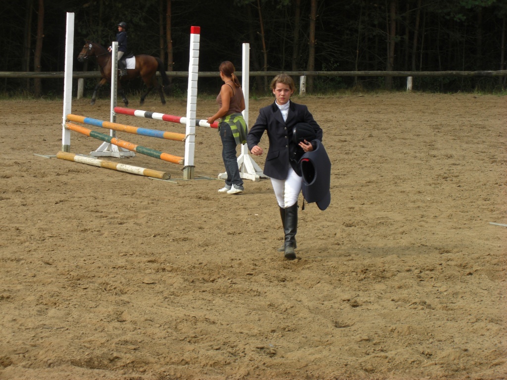 Suche Reitbeteiligung - Reitbeteiligung - Potsdam