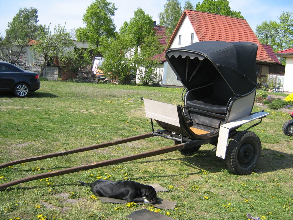Seltener Doktorwagen - Kutsche - Letschin