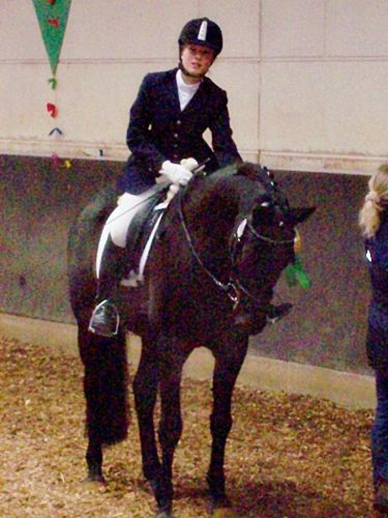 Suche RB für meinen 8 jährigen Oldenburger Rappwallach - Reitbeteiligung - Alzey