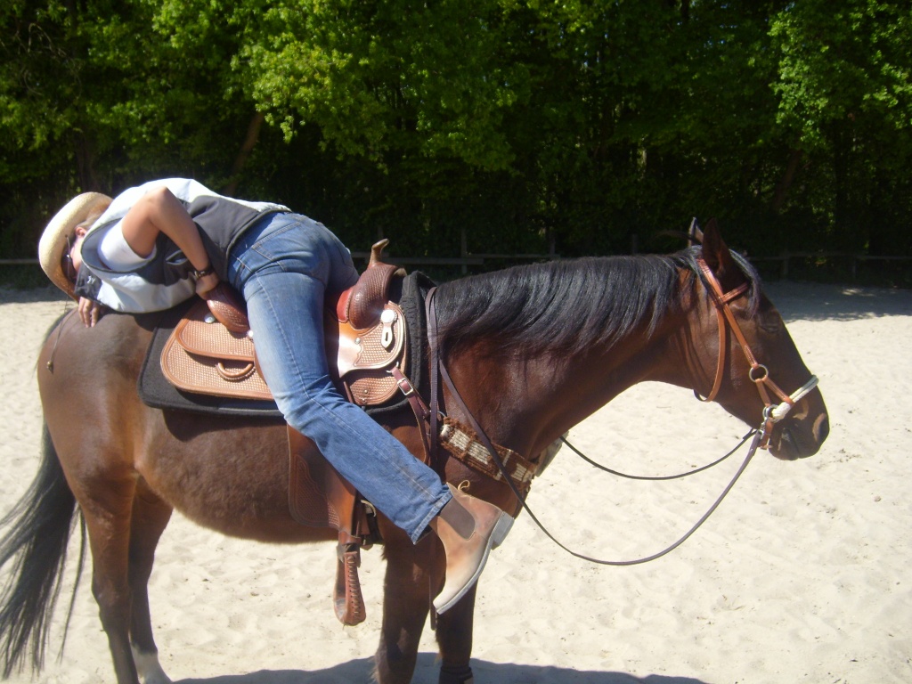 Biete Reitbeteiligung - Reitbeteiligung - Bottrop