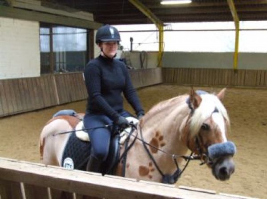 Reitbeteiligung - Reitbeteiligung - Drensteinfurt