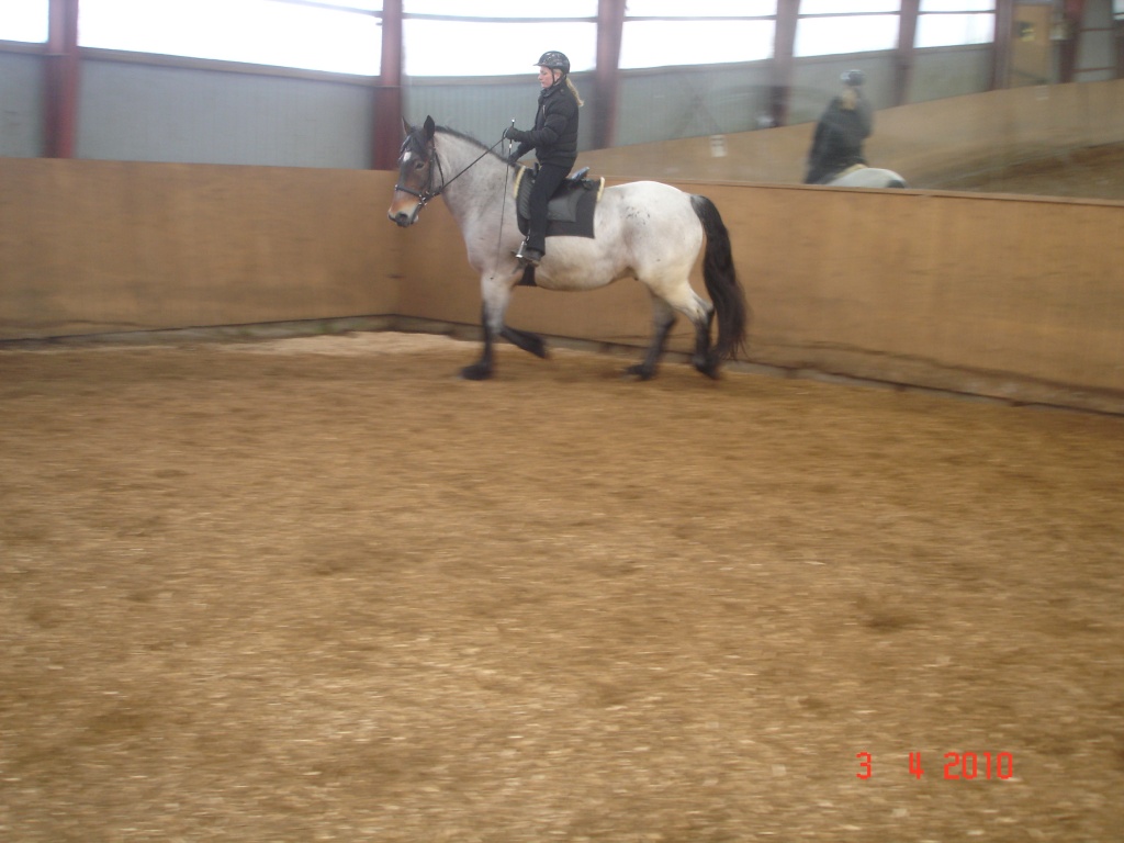 Biete Reitbeteiligung in 22846 - Reitbeteiligung - Norderstedt