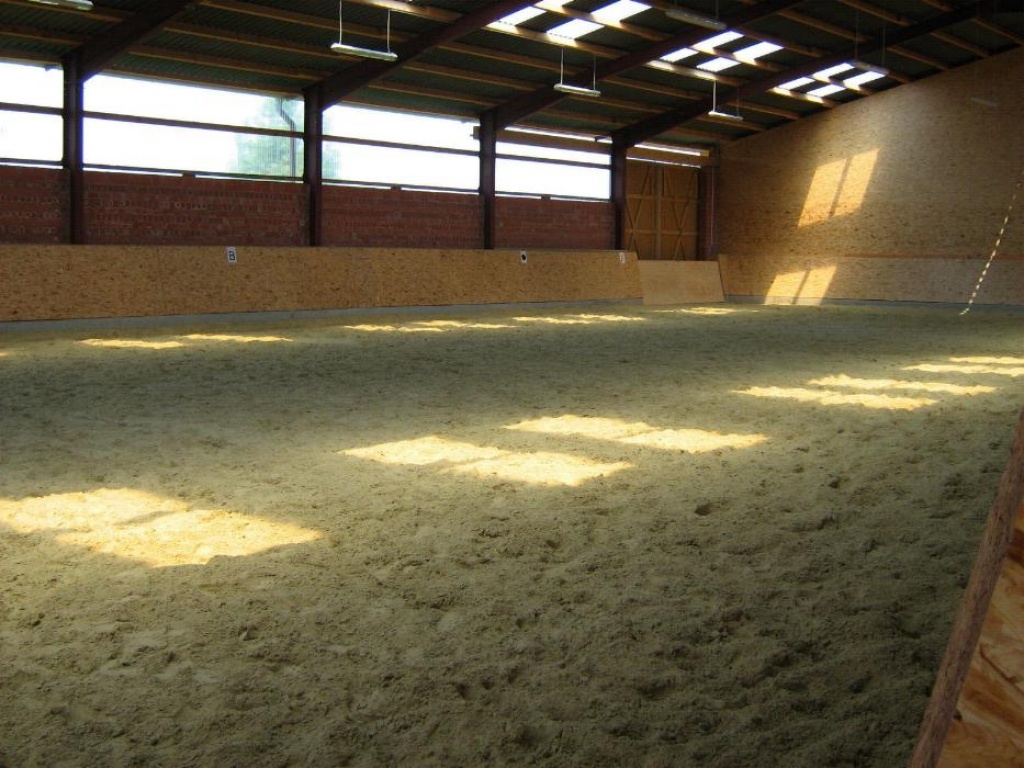 Stallgemeinschaft in Castrop-Rauxel hat noch Boxen frei! - Stallplatz - Castrop Rauxel