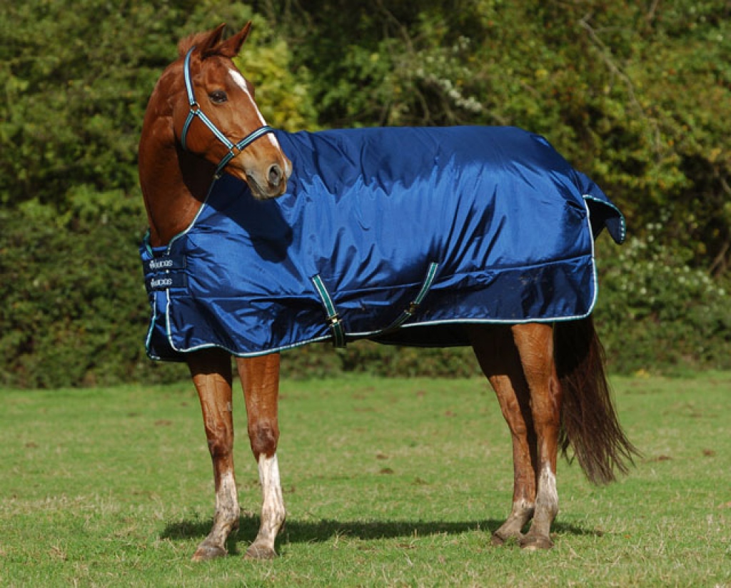 BUCAS SMARTEX ALL IN ONE - WINTERDECKE MIT ABSCHWITZFUNKTION - Pferdezubehoer - Aglasterhausen