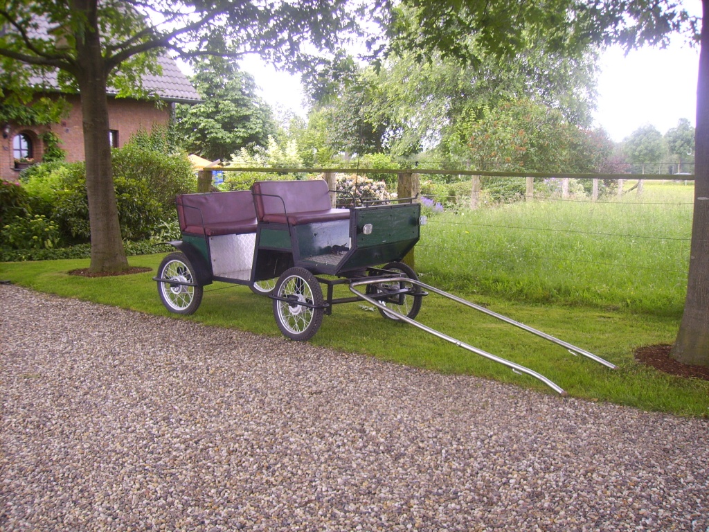 Ponykutsche - Kutsche - Wesel