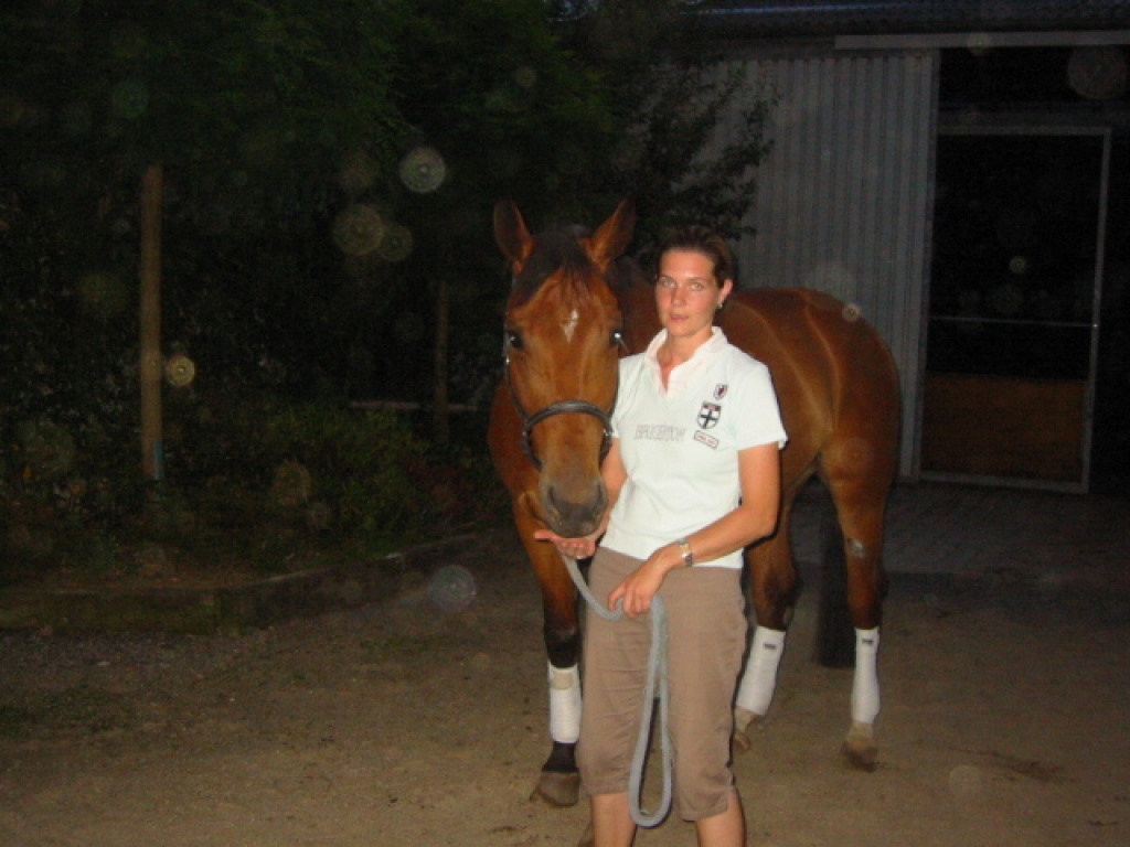 Reitbeteiligungen an Ponys und Dressurpferd in Lünen zu vergeben - Reitbeteiligung - Lünen
