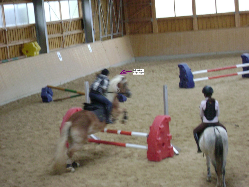 Suche RB in Lintach, FReudenberg! - Reitbeteiligung - Amberg