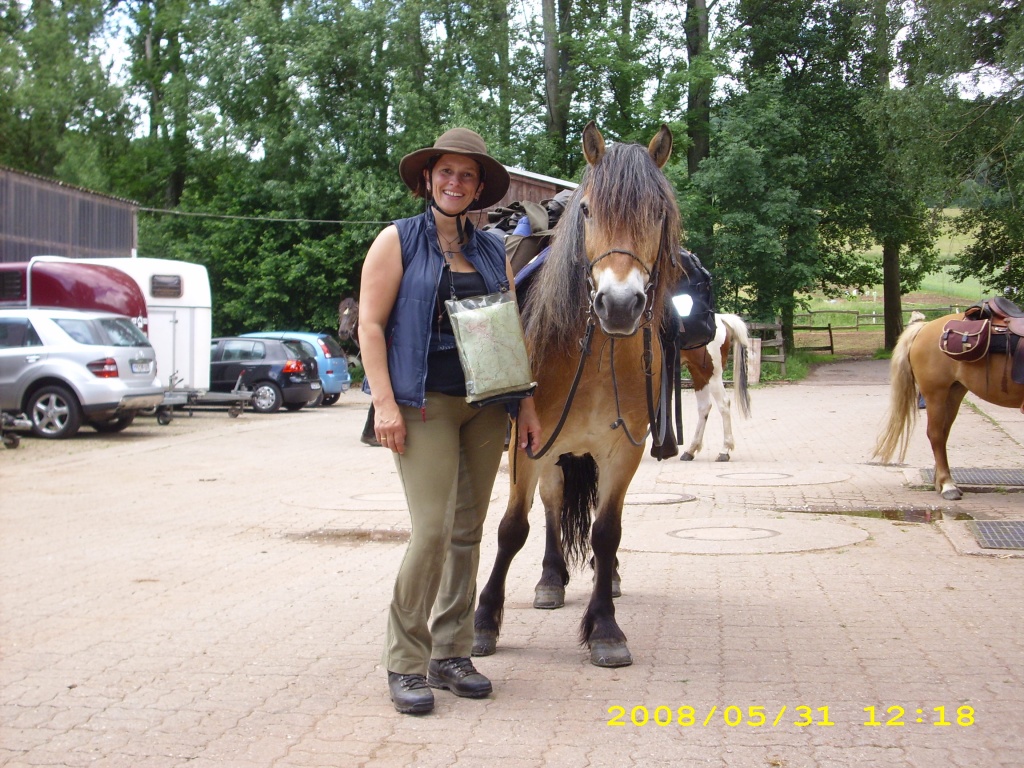 Wanderreiten in Eifel, Hunsrück, Westerwald. Pfalz - Reitferien - Hachenburg