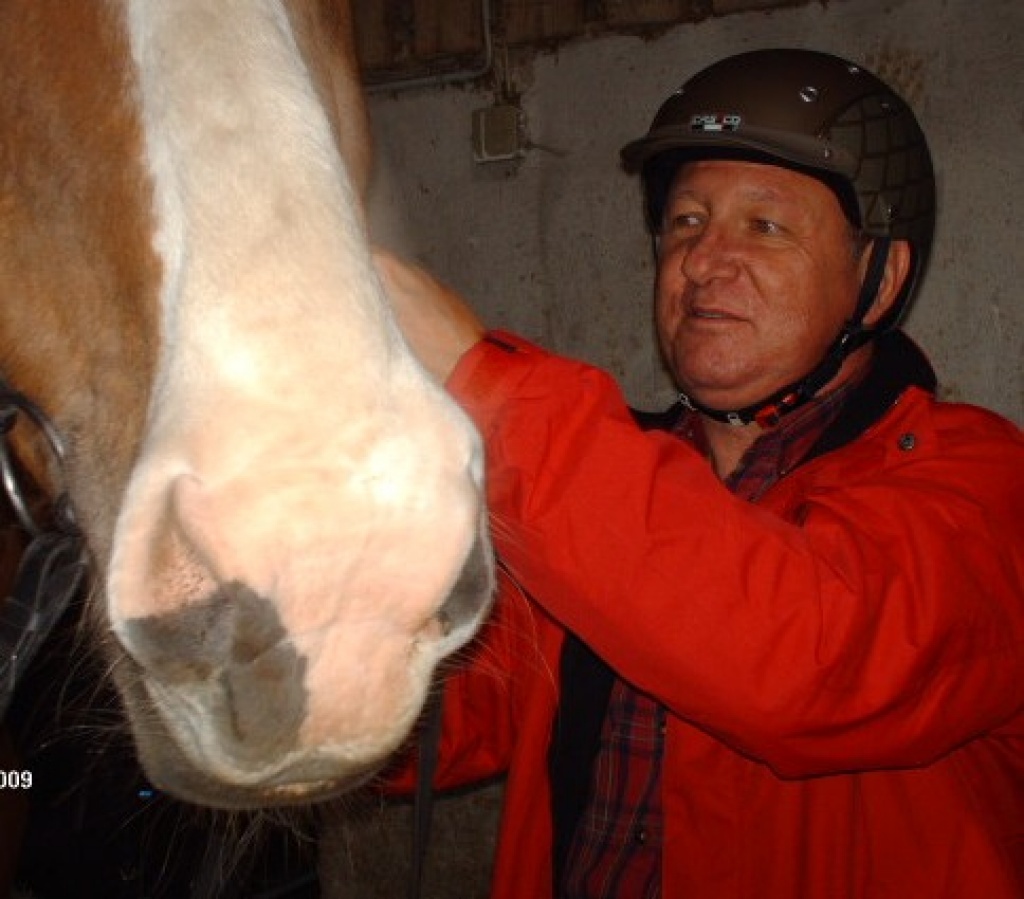 Reiter, sehr erfahren und zuverlässig sucht Reitbeteiligung - Reitbeteiligung - Altdorf