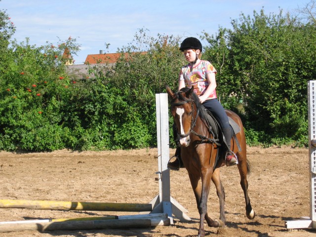 SUCHE REITBETEILIGUNG raum Karlsruhe - Reitbeteiligung - Karlsruhe Durlach