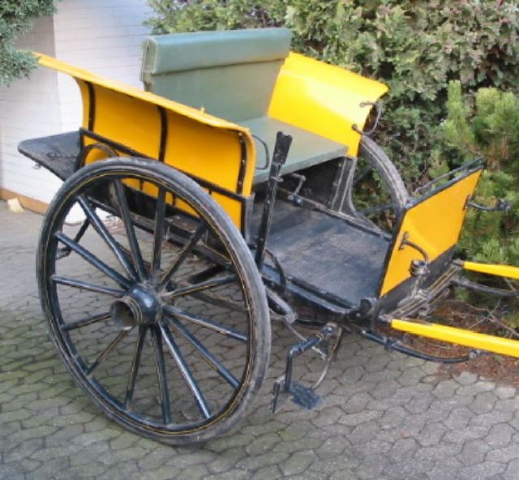 Dogcart/Tandem Cart - Kutsche - Bonn