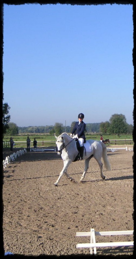 Suche Reitbeteiligung - Reitbeteiligung - Dortmund