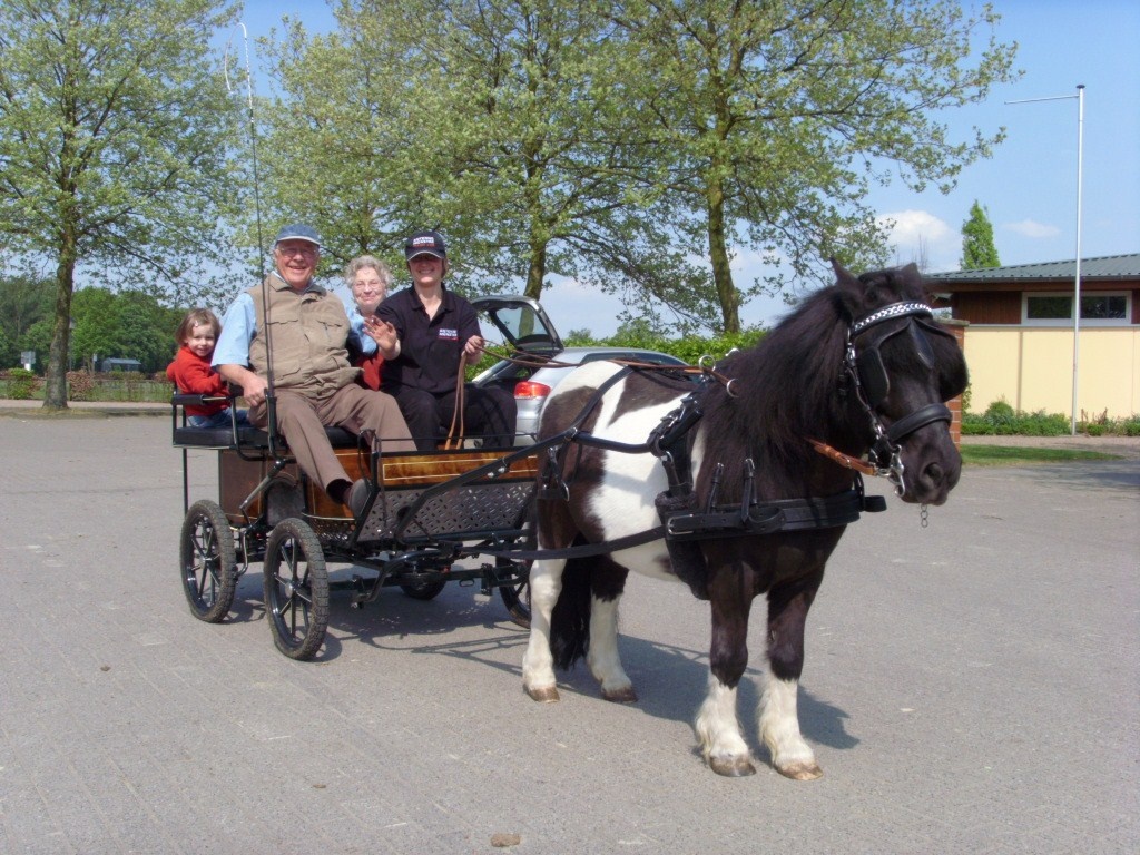 Ponyreiten für Kinder - Ponys - Everswinkel