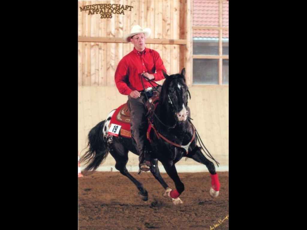 Magic Kiss European Champion - Deckhengst - Wesel