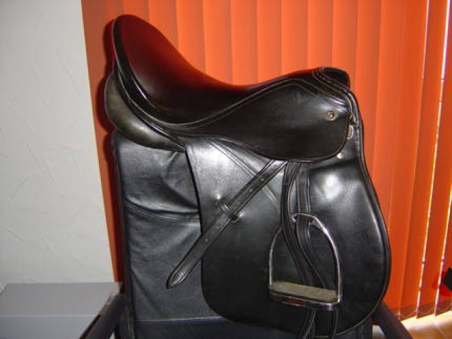 Verkaufer kiefer München Sattel - Sattel - alsfeld