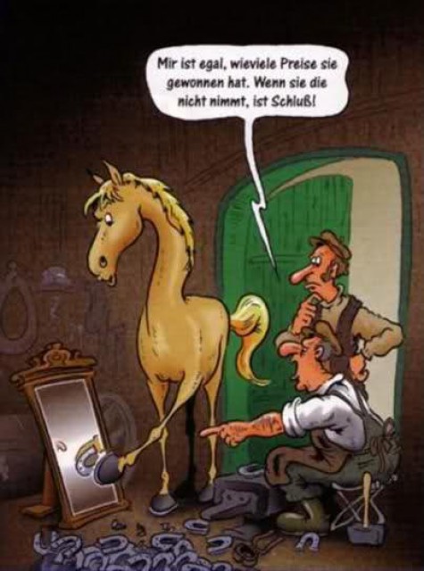 Reiten in Witten - Reitunterricht - Witten