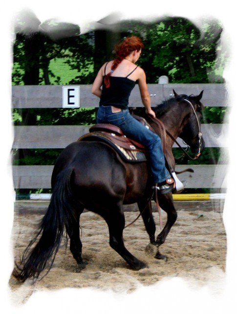 ***Black is beautiful*** Lackschwarzer QUarterhose Deckhengst von GM Freckles - Deckhengst - Homberg