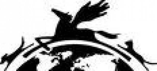 Tellington TTOUCH und Bodenarbeitskurs 7.-8. Mai - Reitunterricht - Romrod