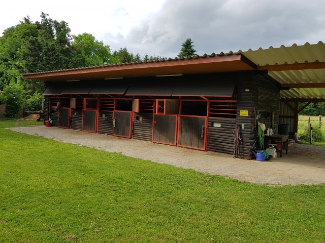 Idyllischer Stall/Außenboxen mit weitläufigen Weideflächen frei in Elz - Boxenvermietung - Elz
