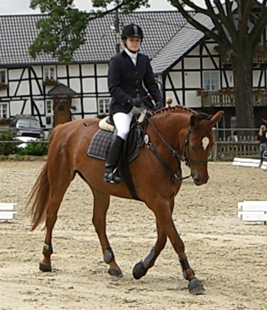 Biete RB in Köln-Porz (Dressur, Gelände) - Reitbeteiligung - Köln-Porz