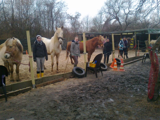 Reiten in den Osterferien - Reitferien - Köln