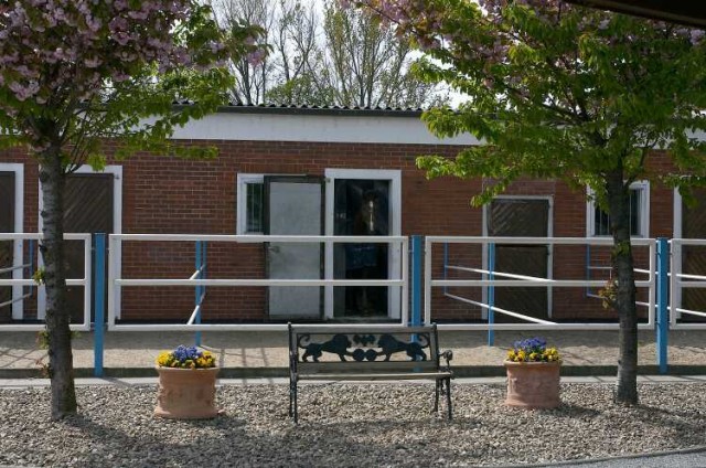 Paddock-/Fenster-/Innenboxen(Vollpension),Offenstallplätze(VP/Selbstversorgung) - Stallplatz - Eltze (Uetze)