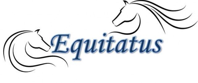 NEU! Gut Haiming - Ausbildungsstall auch Ponyausbildung - Boxenvermietung - Haiming