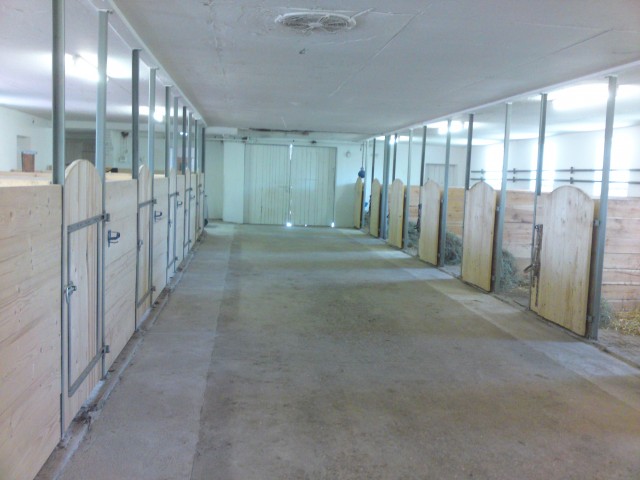 Suchen noch nette Einsteller - Boxenvermietung - Wilhermsdorf