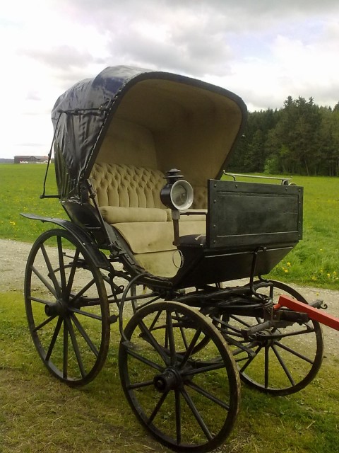 Doktorwagen - Pferde Kutsche - Raubling