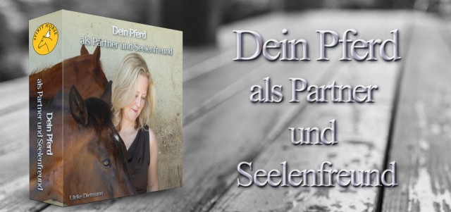 Dein Pferd als Partner und Seelenfreund - Reitunterricht - Beilstein