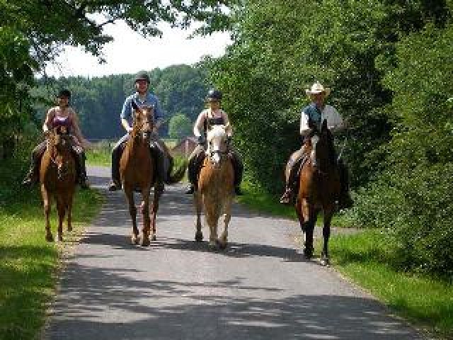 Reiterferien/Urlaub für Groß und Klein - Reitferien - Flieden